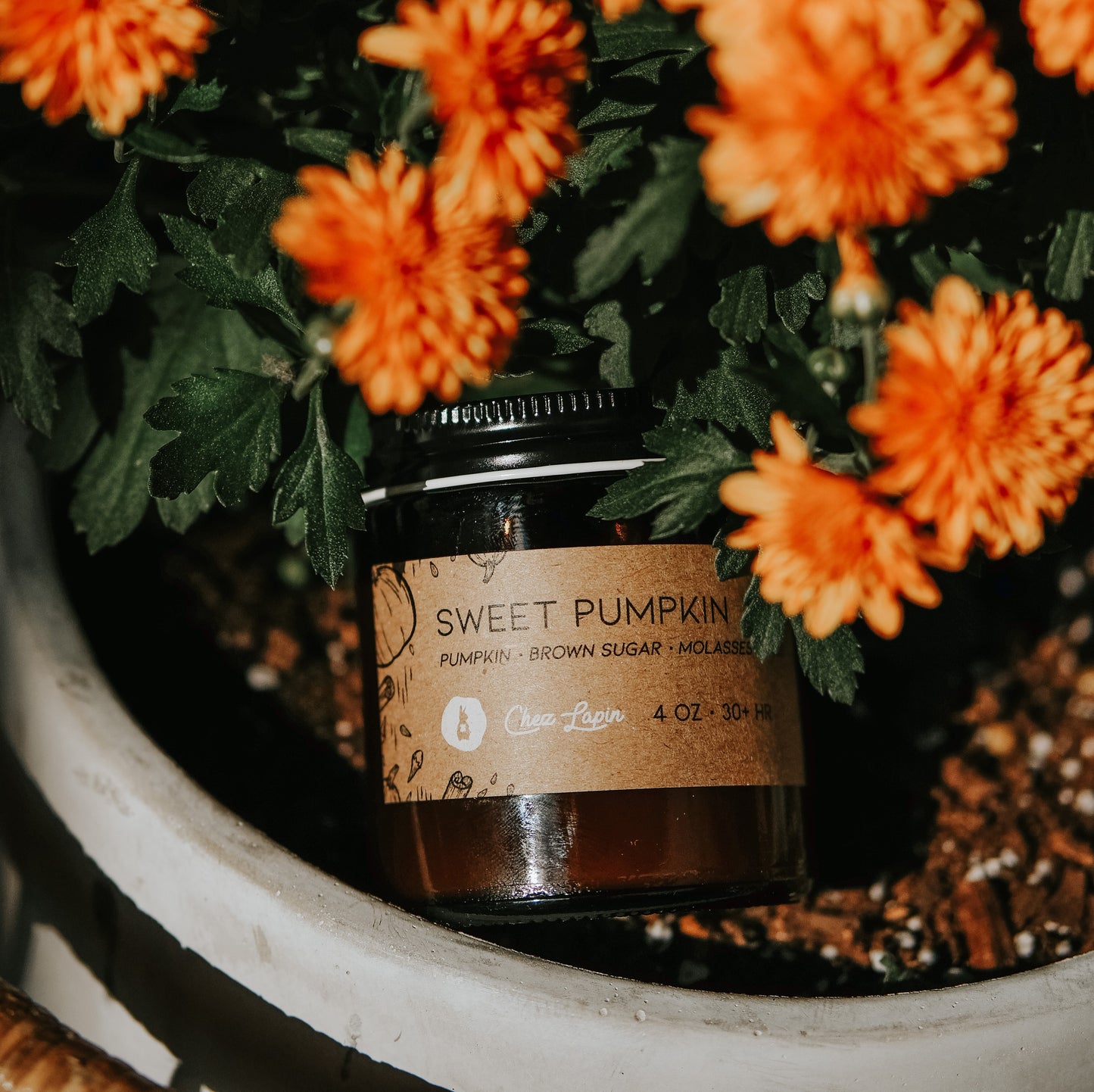 Sweet Pumpkin
