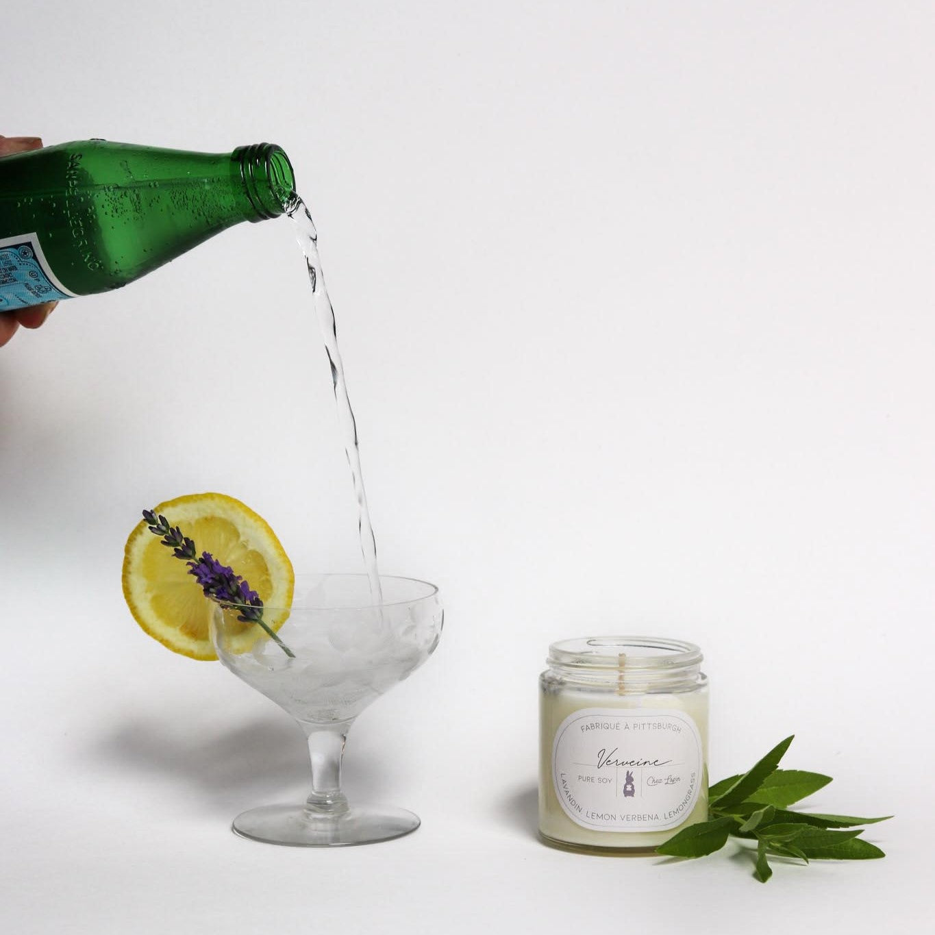 Verveine